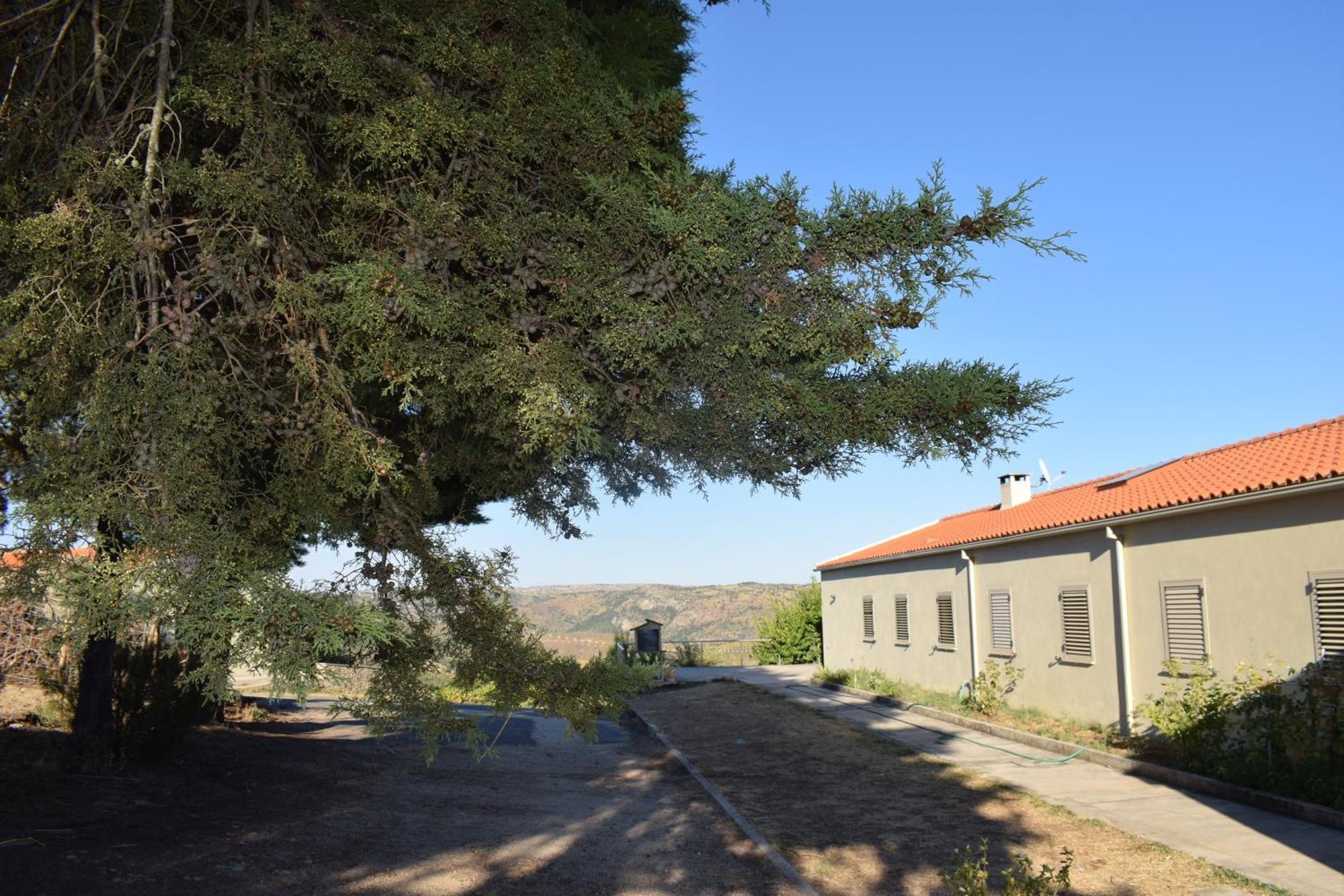Douro Natura Bemposta  Luaran gambar