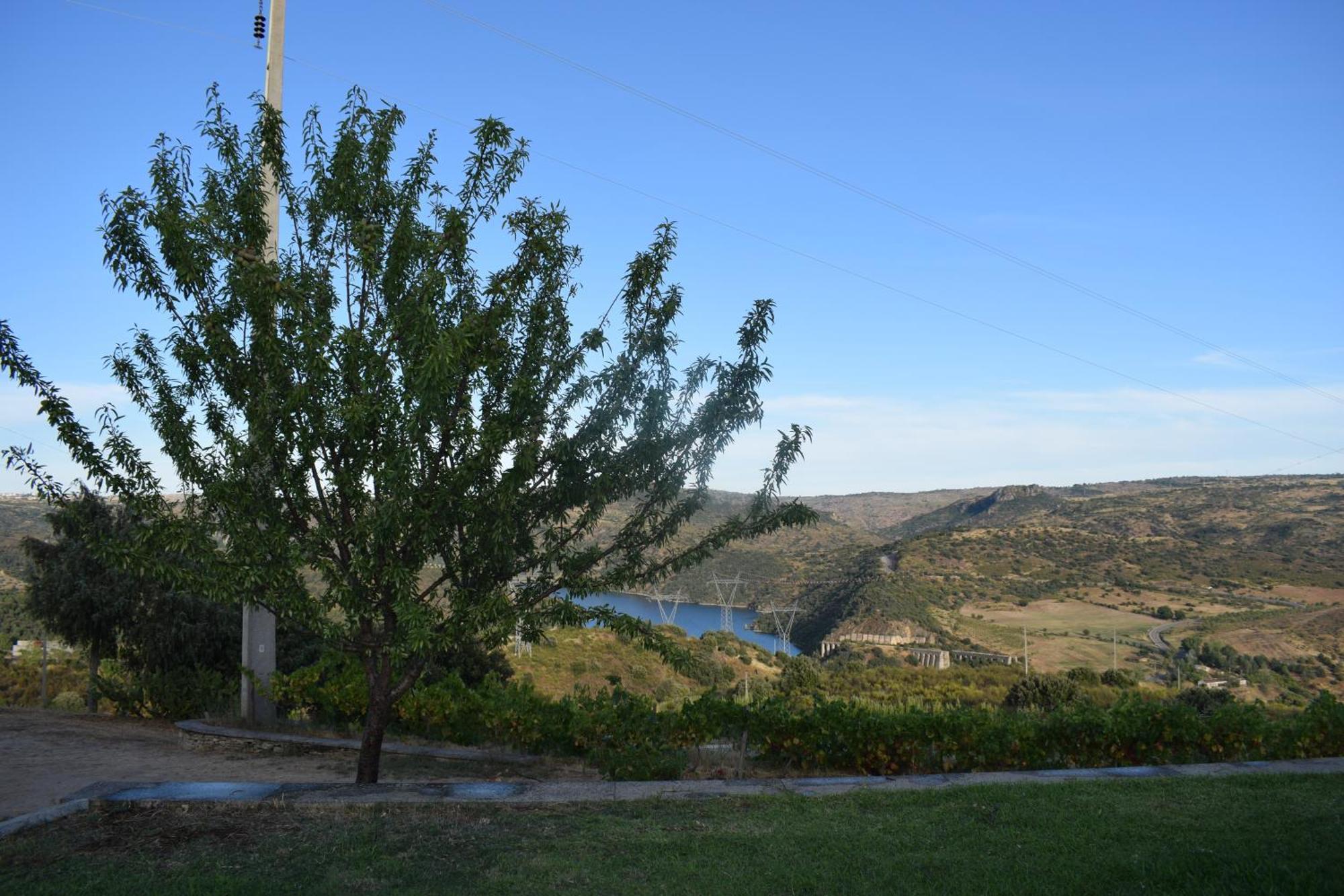 Douro Natura Bemposta  Luaran gambar