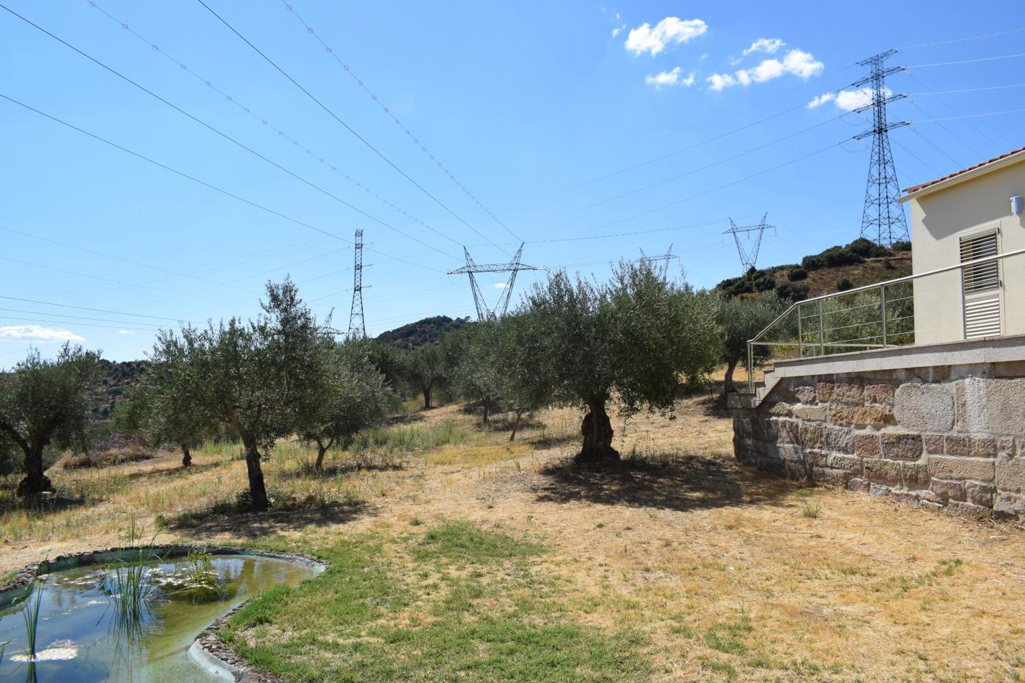 Douro Natura Bemposta  Luaran gambar